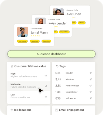 Simplified Mailchimp user interface showing the audience dashboard and segmentation tools. Businesses can get key insights for individual customers — like whether they’re a local customer or highly-engaged with emails — along with stats for their entire audience, including easy-to-understand customer lifetime value, tags, location, and engagement levels.