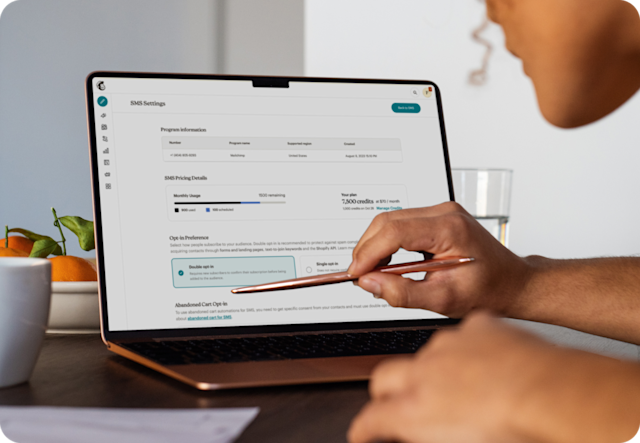 Person analyzing SMS settings in Mailchimp
