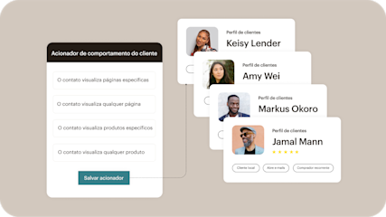 Painel exibindo perfis de clientes e as ferramentas de segmentação de público do Mailchimp para campanhas de marketing.